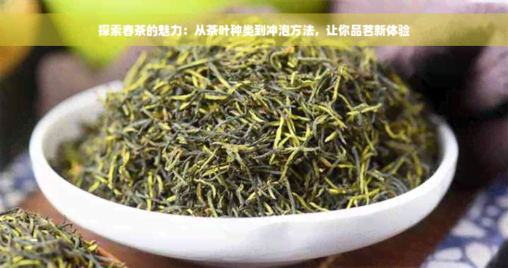 探索春茶的魅力：从茶叶种类到冲泡方法，让你品茗新体验