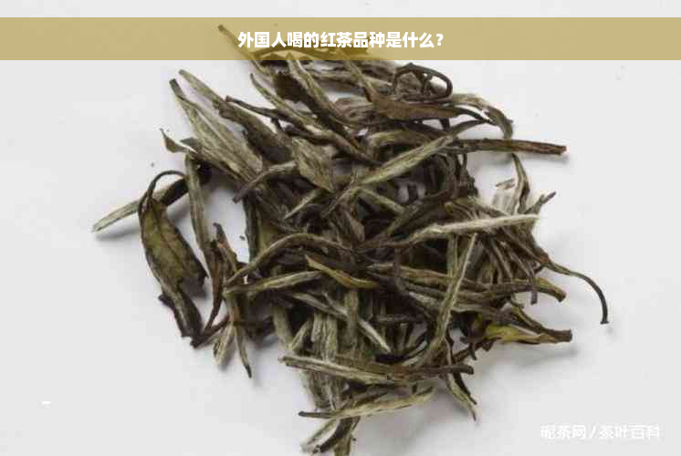 外国人喝的红茶品种是什么？