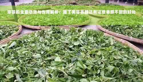 芽茶的全面功效与作用解析：除了美容养颜还有这些意想不到的好处！