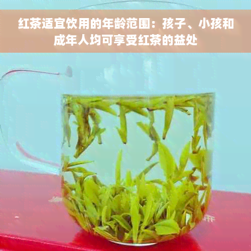 红茶适宜饮用的年龄范围：孩子、小孩和成年人均可享受红茶的益处