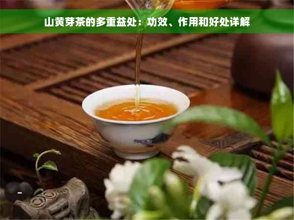 山黄芽茶的多重益处：功效、作用和好处详解