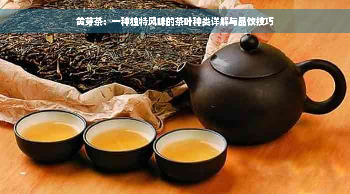 黄芽茶：一种独特风味的茶叶种类详解与品饮技巧