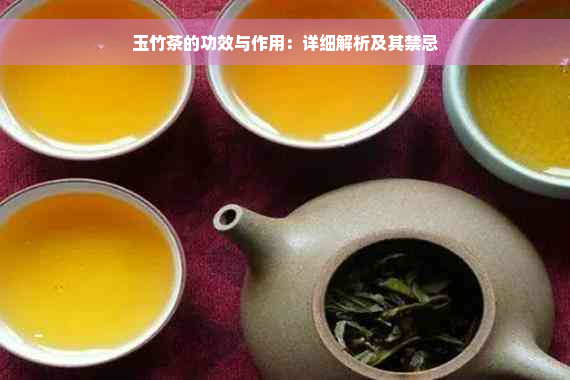 玉竹茶的功效与作用：详细解析及其禁忌