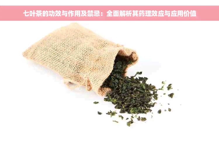 七叶茶的功效与作用及禁忌：全面解析其药理效应与应用价值