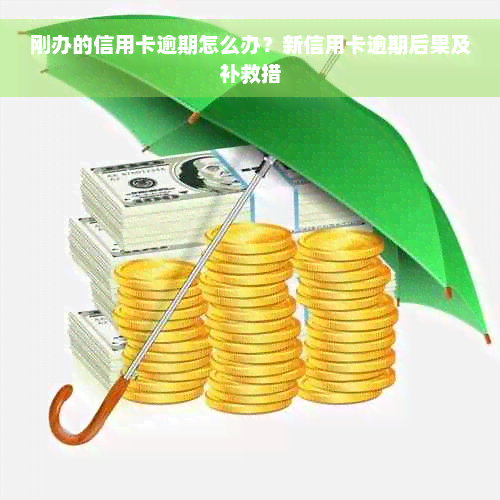 刚办的信用卡逾期怎么办？新信用卡逾期后果及补救措