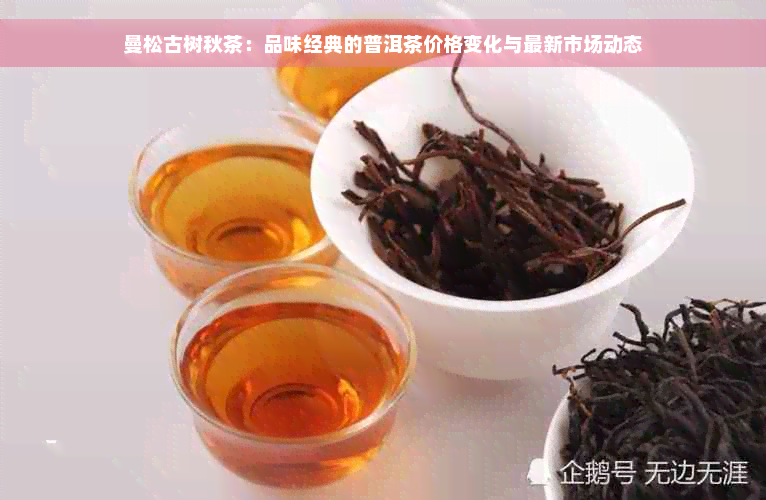 曼松古树秋茶：品味经典的普洱茶价格变化与最新市场动态