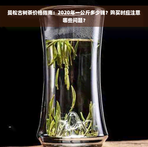 曼松古树茶价格指南：2020年一公斤多少钱？购买时应注意哪些问题？