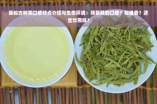 曼松古树茶口感特点介绍与生态环境：绿茶般的口感？松榛香？适宜饮用吗？