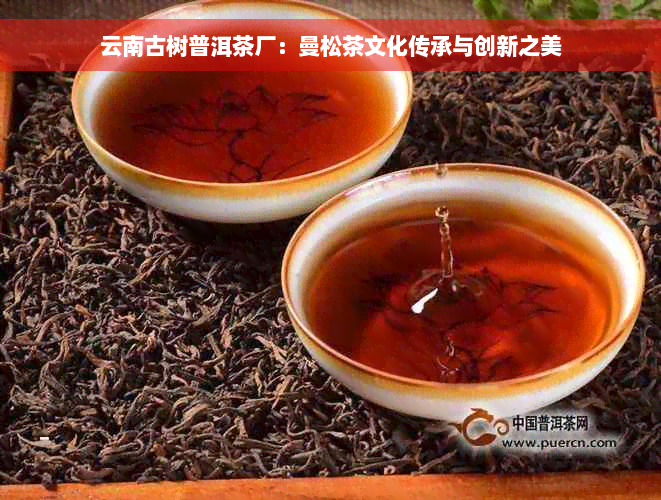 云南古树普洱茶厂：曼松茶文化传承与创新之美