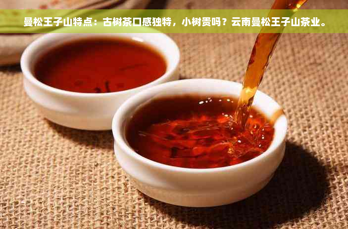 曼松王子山特点：古树茶口感独特，小树贵吗？云南曼松王子山茶业。