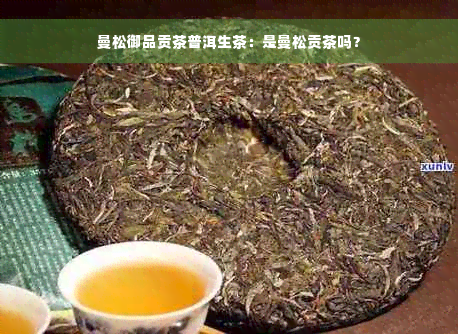 曼松御品贡茶普洱生茶：是曼松贡茶吗？