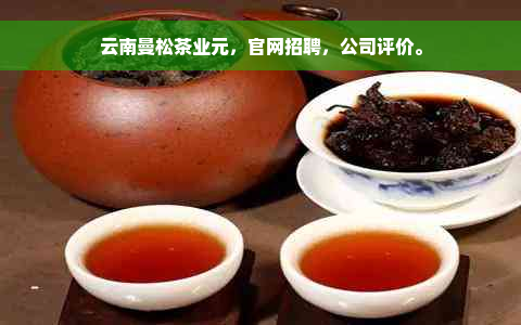 云南曼松茶业元，官网招聘，公司评价。