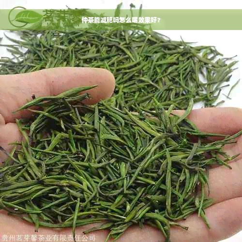 仲茶能减肥吗怎么喝效果好？