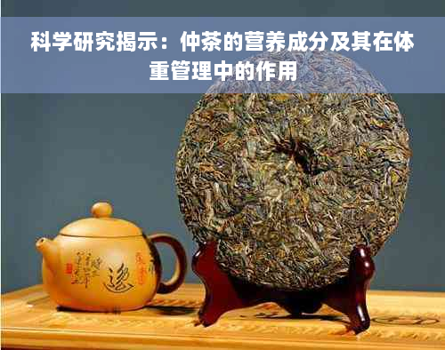 科学研究揭示：仲茶的营养成分及其在体重管理中的作用