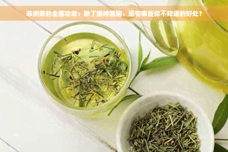 非洲茶的全面功效：除了提神醒脑，还有哪些你不知道的好处？