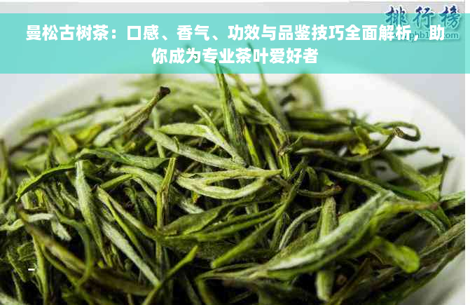 曼松古树茶：口感、香气、功效与品鉴技巧全面解析，助你成为专业茶叶爱好者
