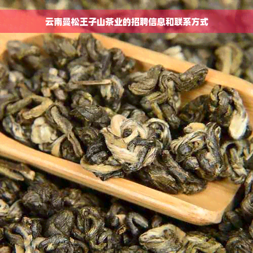 云南曼松王子山茶业的招聘信息和联系方式
