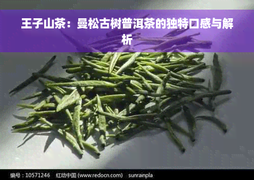 王子山茶：曼松古树普洱茶的独特口感与解析