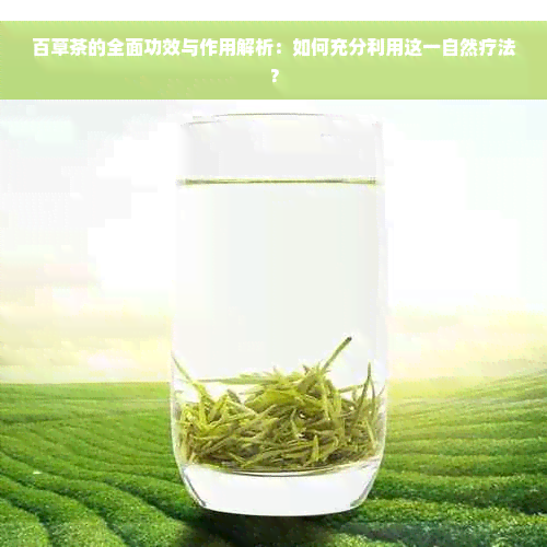 百草茶的全面功效与作用解析：如何充分利用这一自然疗法？