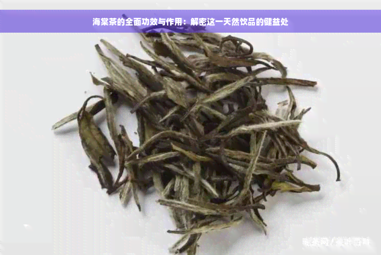 海棠茶的全面功效与作用：解密这一天然饮品的健益处