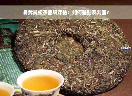 易武曼松茶品级评估：如何鉴别及判断？