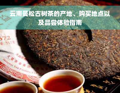 云南曼松古树茶的产地、购买地点以及品尝体验指南