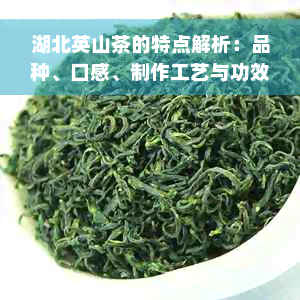 湖北英山茶的特点解析：品种、口感、制作工艺与功效一应俱全