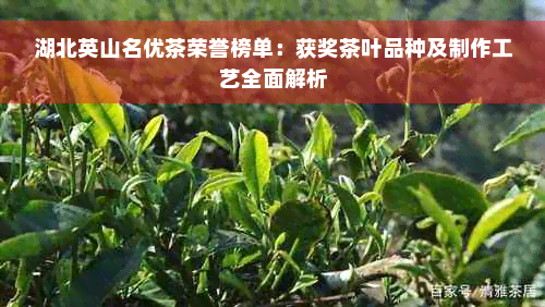 湖北英山名优茶荣誉榜单：获奖茶叶品种及制作工艺全面解析