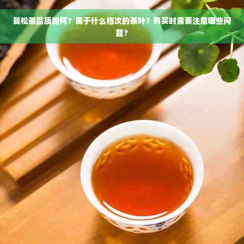 曼松茶品质如何？属于什么档次的茶叶？购买时需要注意哪些问题？