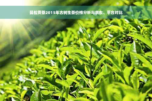 曼松贡茶2015年古树生茶价格分析与京东、平台对比