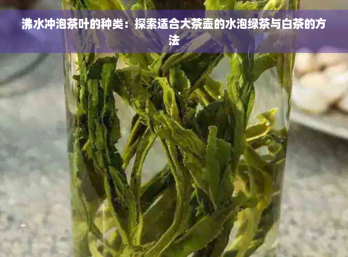 沸水冲泡茶叶的种类：探索适合大茶壶的水泡绿茶与白茶的方法