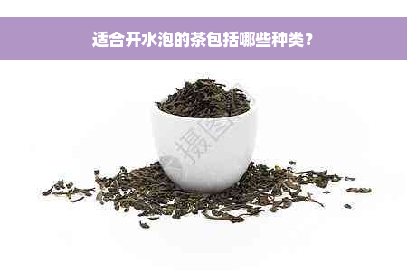 适合开水泡的茶包括哪些种类？