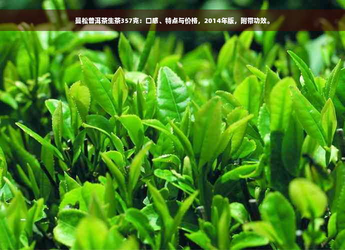 曼松普洱茶生茶357克：口感、特点与价格，2014年版，附带功效。
