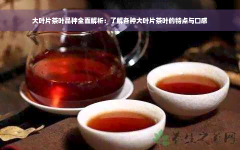 大叶片茶叶品种全面解析：了解各种大叶片茶叶的特点与口感