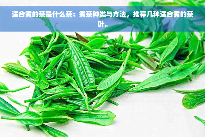 适合煮的茶是什么茶：煮茶种类与方法，推荐几种适合煮的茶叶。