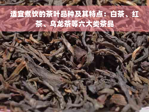 适宜煮饮的茶叶品种及其特点：白茶、红茶、乌龙茶等六大类茶品