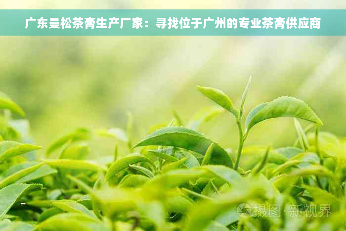 广东曼松茶膏生产厂家：寻找位于广州的专业茶膏供应商