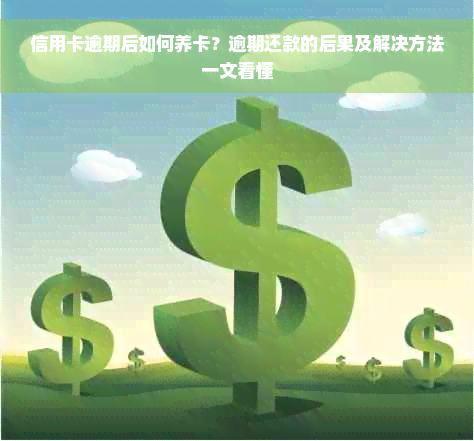 信用卡逾期后如何养卡？逾期还款的后果及解决方法一文看懂