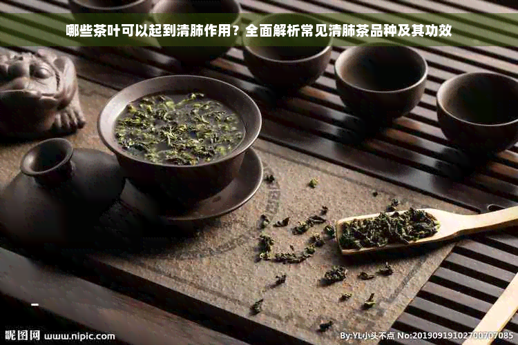 哪些茶叶可以起到清肺作用？全面解析常见清肺茶品种及其功效