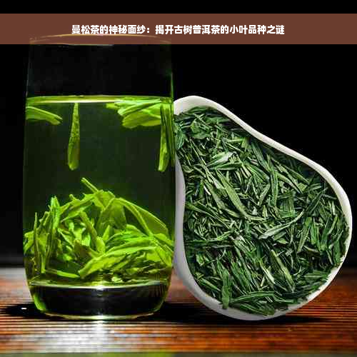 曼松茶的神秘面纱：揭开古树普洱茶的小叶品种之谜
