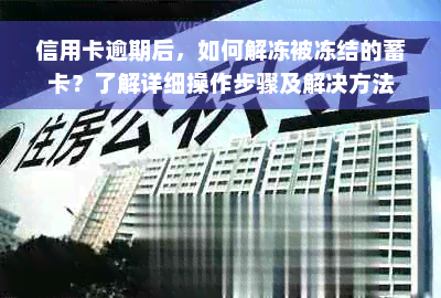 信用卡逾期后，如何解冻被冻结的蓄卡？了解详细操作步骤及解决方法