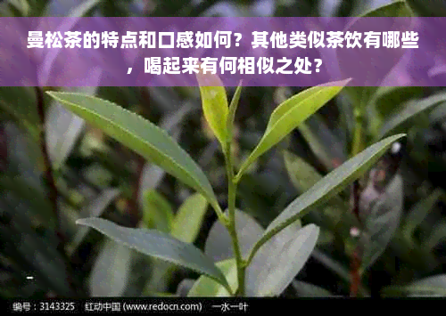 曼松茶的特点和口感如何？其他类似茶饮有哪些，喝起来有何相似之处？