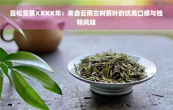 曼松贡茶XXXX年：来自云南古树茶叶的优质口感与独特风味