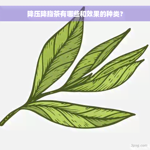 降压降脂茶有哪些和效果的种类？