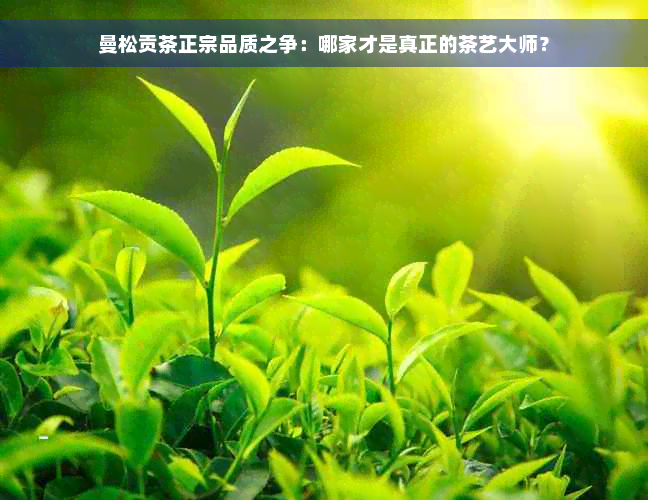 曼松贡茶正宗品质之争：哪家才是真正的茶艺大师？