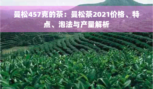 曼松457克的茶：曼松茶2021价格、特点、泡法与产量解析