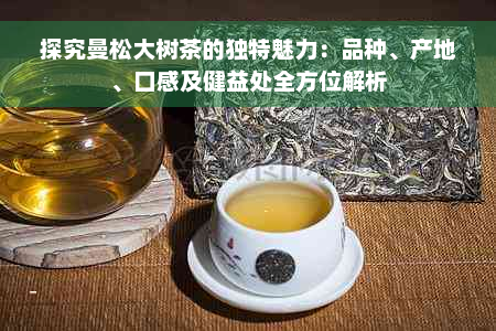 探究曼松大树茶的独特魅力：品种、产地、口感及健益处全方位解析