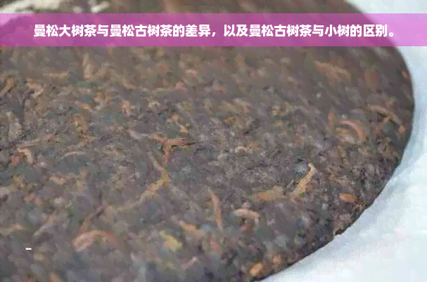 曼松大树茶与曼松古树茶的差异，以及曼松古树茶与小树的区别。