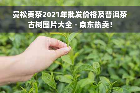 曼松贡茶2021年批发价格及普洱茶古树图片大全 - 京东热卖！