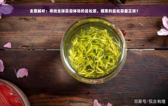 全面解析：寻找全球品尝体验的曼松茶，哪里的曼松茶最正宗？